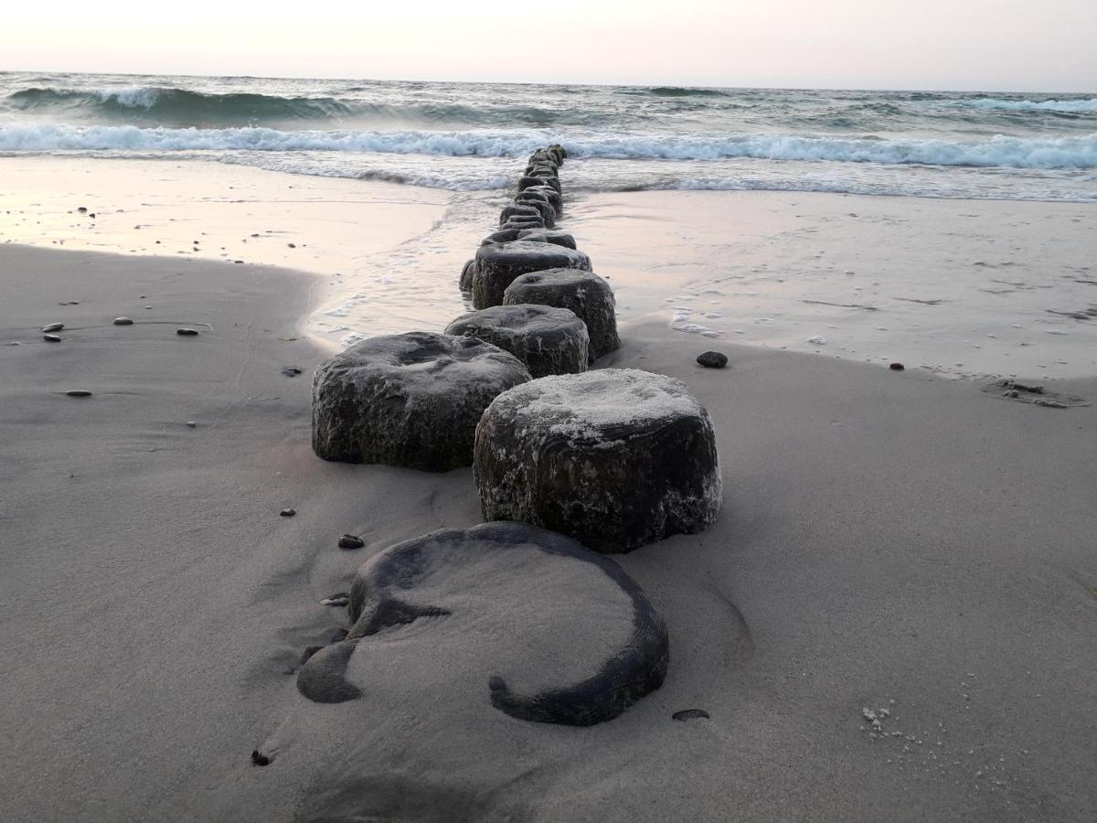 Domki Gama Gaski  Bagian luar foto