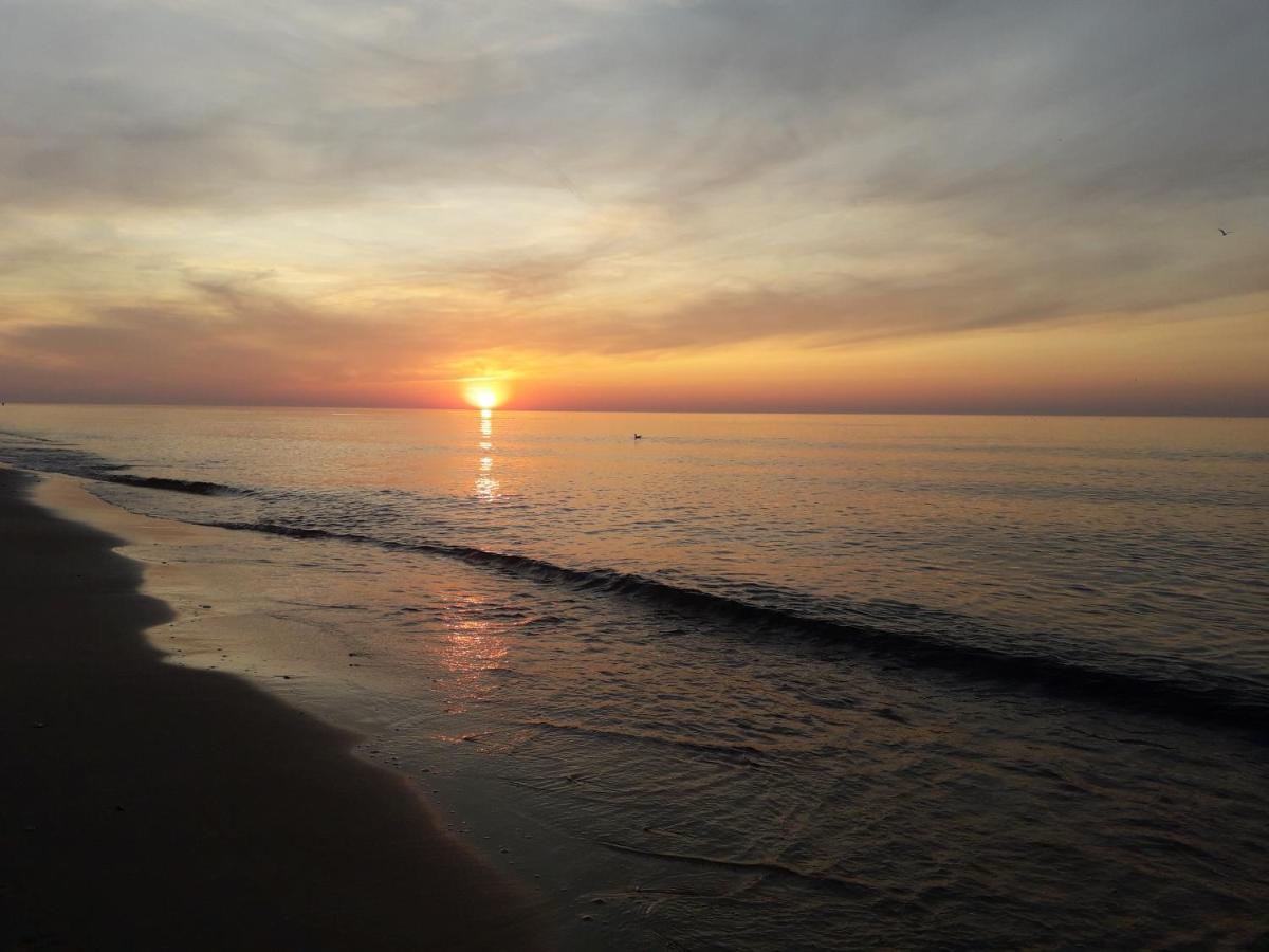 Domki Gama Gaski  Bagian luar foto